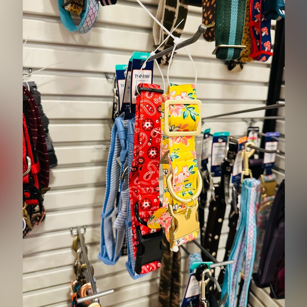 Dog collars (price for 3) - Picture 5 of 7